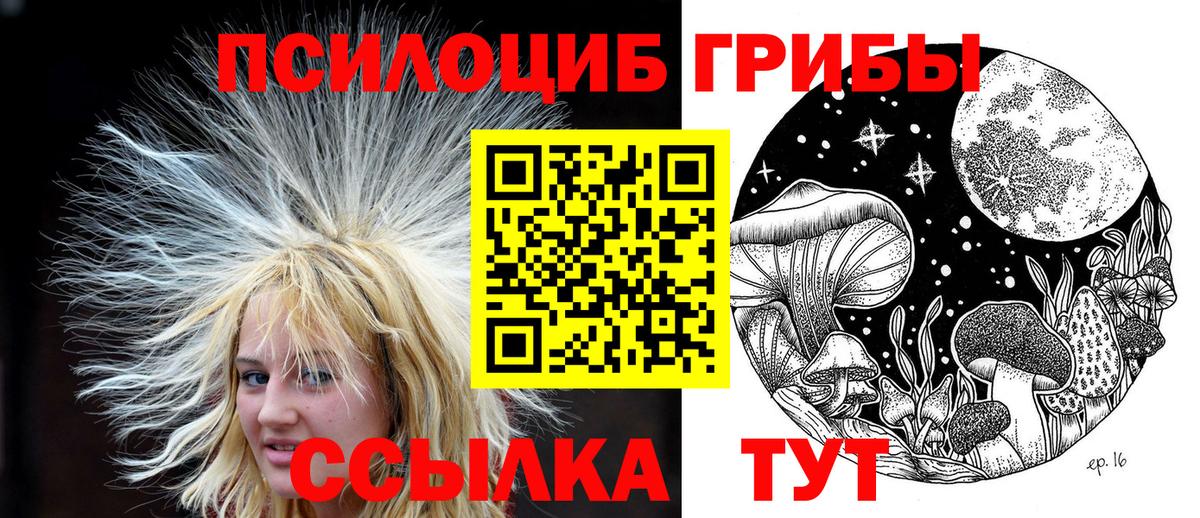 Вышний Волочёк  Псилоцибиновые грибы GOLDEN TEACHER  Галлюциногенные грибы Magic Shrooms  Вход с VPN 